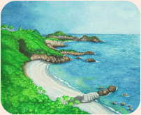 趣味の絵画展示室：沖縄ひずしビーチ