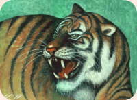 趣味の絵画展示室：虎の絵